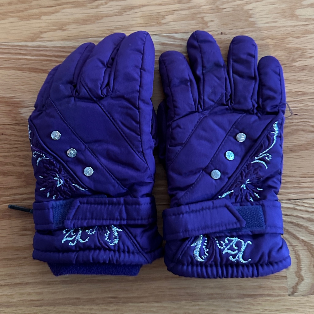 Thinsulate Nwot Girls Ski Gloves (M/L)